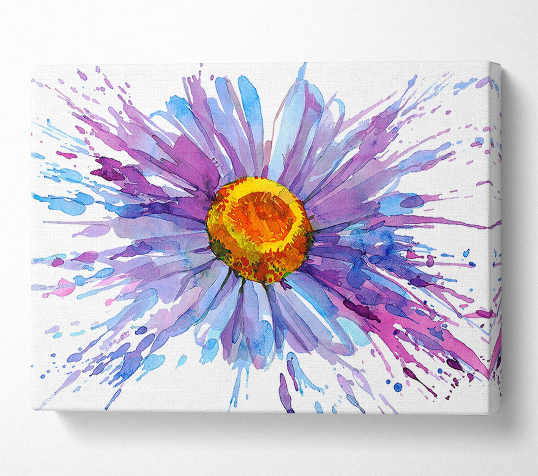 Picture of Daisy Splash Canvas Print Wall Art