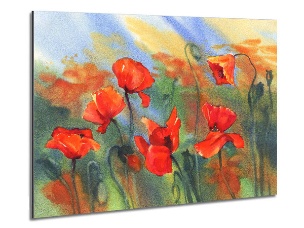 Mohn abstrakt