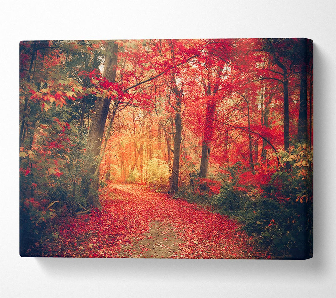 Picture of Red Tree Walk Canvas Print Wall Art