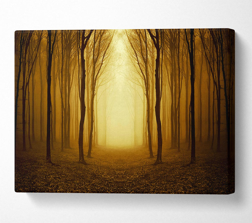 Picture of Through The Golden Path Canvas Print Wall Art