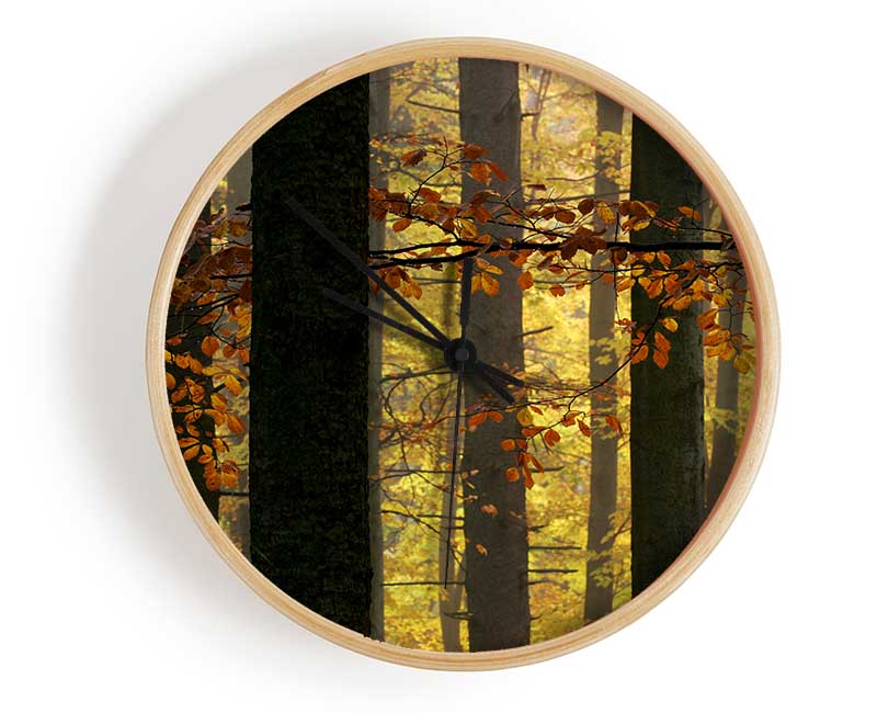 Golden Light Through The Trees Clock - Wallart-Direct UK