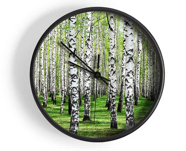 Silver Birch Beauty Clock - Wallart-Direct UK