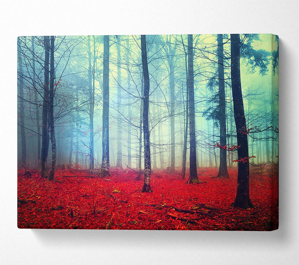 Picture of Mist In The Red Forest Canvas Print Wall Art