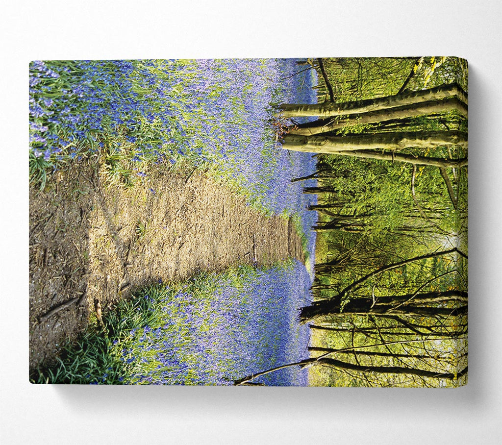 Picture of Bluebell Path Canvas Print Wall Art