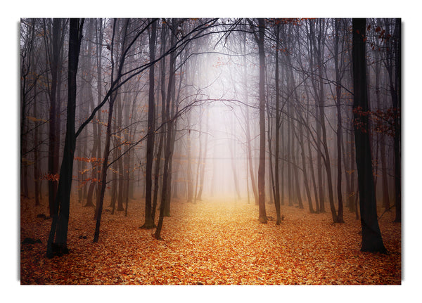 Herbstnebel