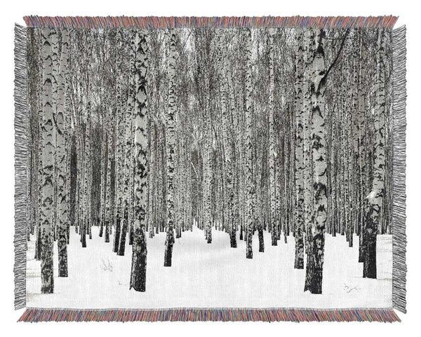 Silver Birch Trees In The Snow Woven Blanket