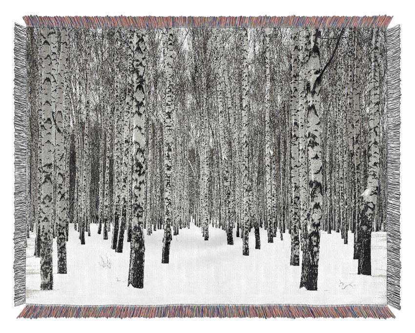 Silver Birch Trees In The Snow Woven Blanket
