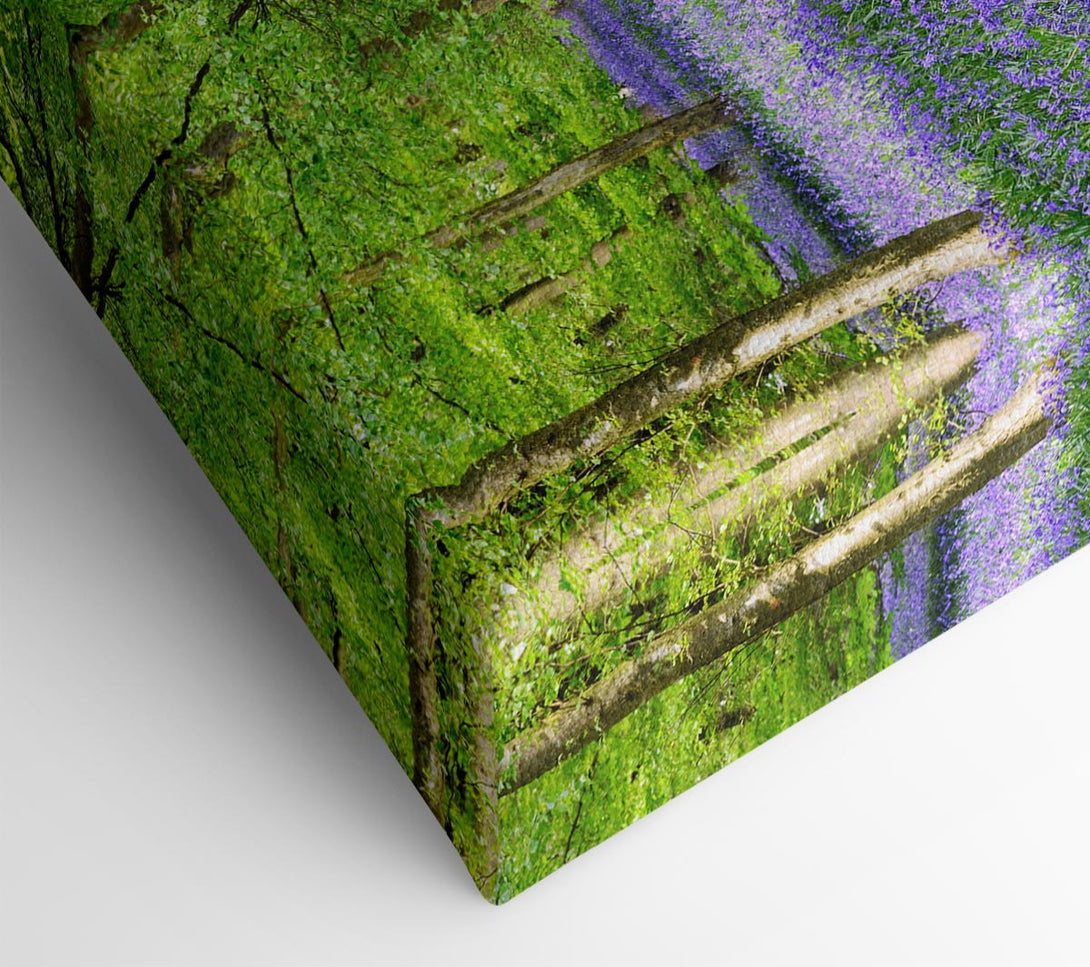  A Canvas Print of Walk Through The Bluebell Path Canvas Print