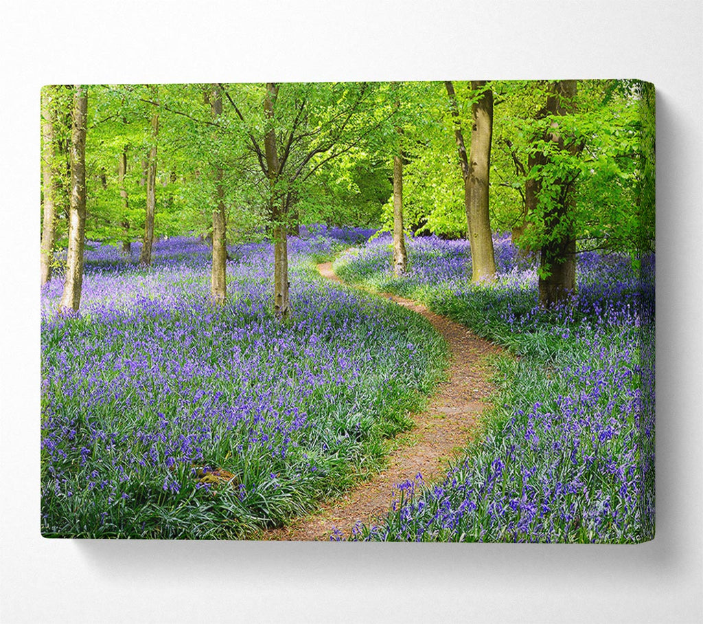 Picture of Walk Through The Bluebell Path Canvas Print Wall Art