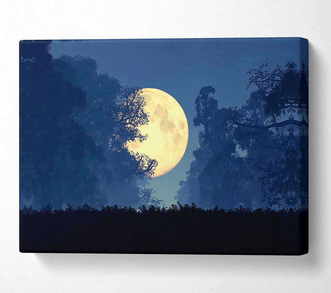 A Canvas Print of Stunning Midnight Moon Through The Trees Canvas Wall Art