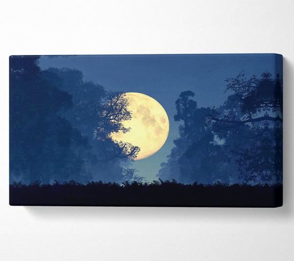 Stunning Midnight Moon Through The Trees