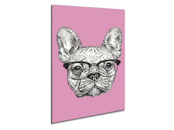 Französische Bulldogge in Gläsern