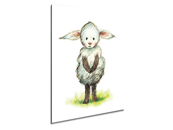 Schüchternes Schaf
