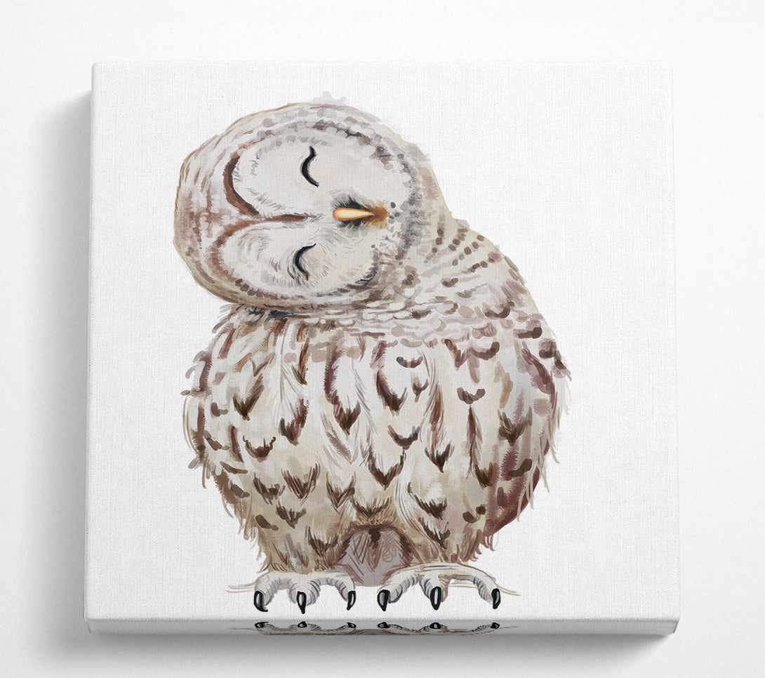 A Square Canvas Print Showing Owl Feathers Square Wall Art