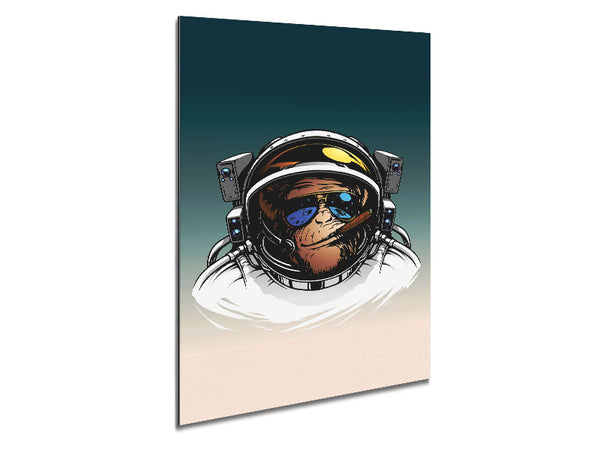 Astronautenaffe