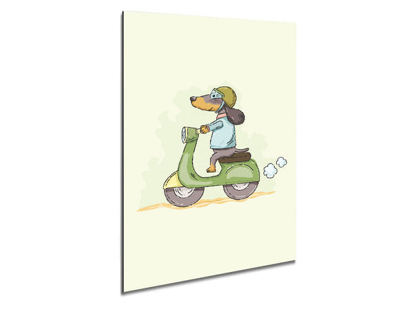 Roller-Hund