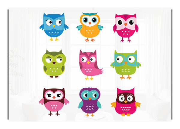 Owl Friends