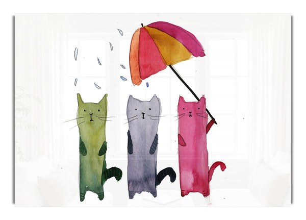 Regenschirm-Katzen