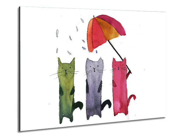 Regenschirm-Katzen