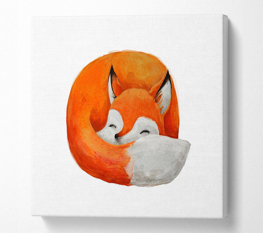 A Square Canvas Print Showing Sleeping Fox 1 Square Wall Art