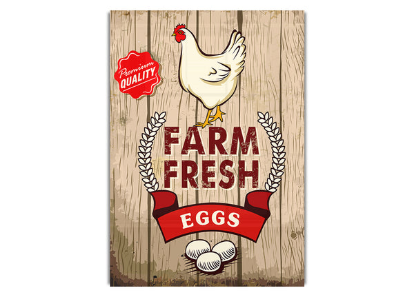 Farm Fresh Eggs