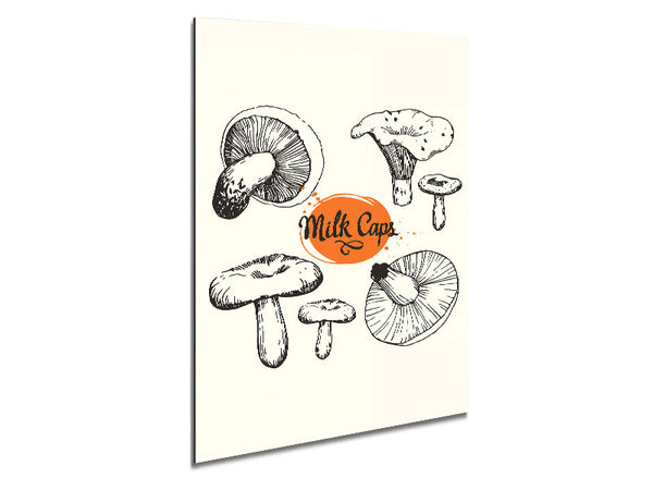 Milchlingpilze
