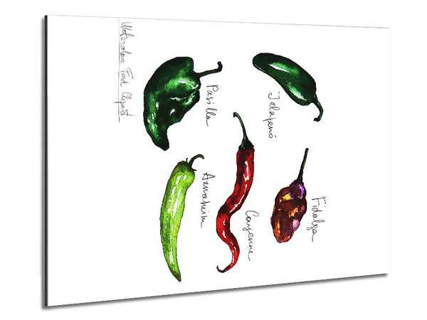 Chili Names Metal Print