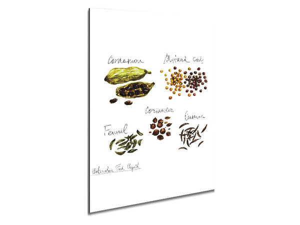 Spice Selection 1 Metal Print