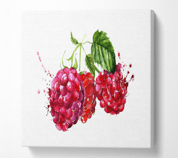 A Square Canvas Print Showing Raspberry Trio Square Wall Art