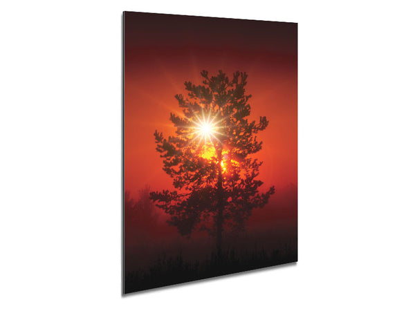 Orange Skies Metal Print