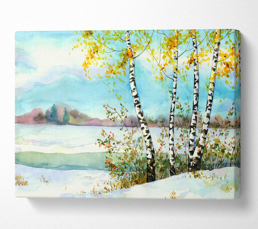 Picture of Silver Birch Winter Canvas Print Wall Art