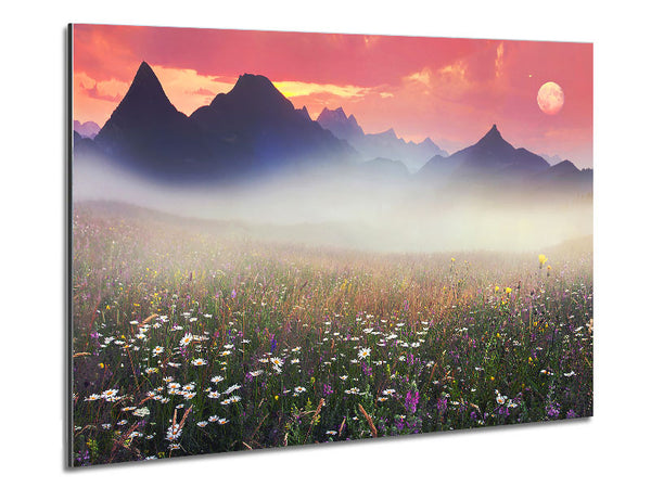 Flower Mountain Mist Metal Print