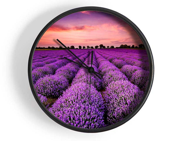 Lavender Fields Clock - Wallart-Direct UK