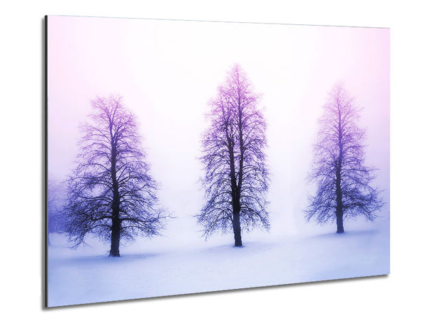 Purple Winter Trees Metal Print