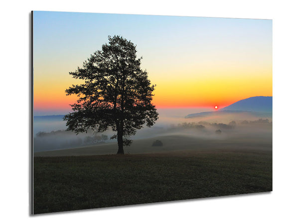 Misty Sunrise Metal Print