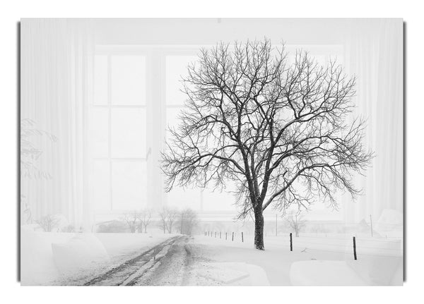 Snow Path