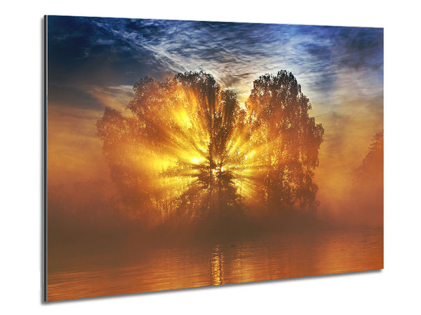 Golden Sunburst Tree Metal Print