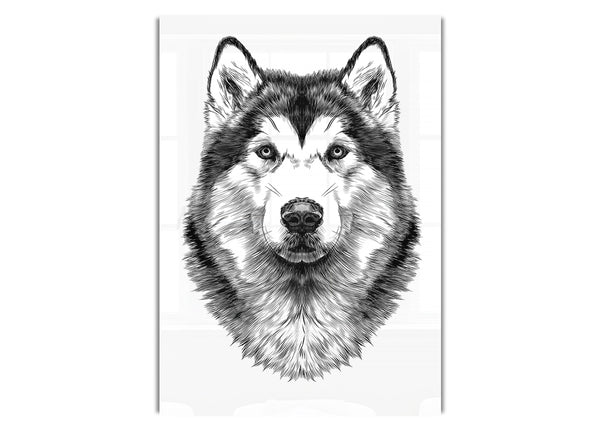 Husky-Wolf