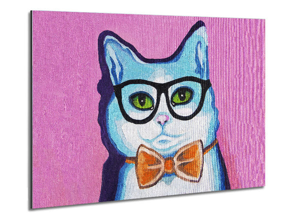 Kluge Katze
