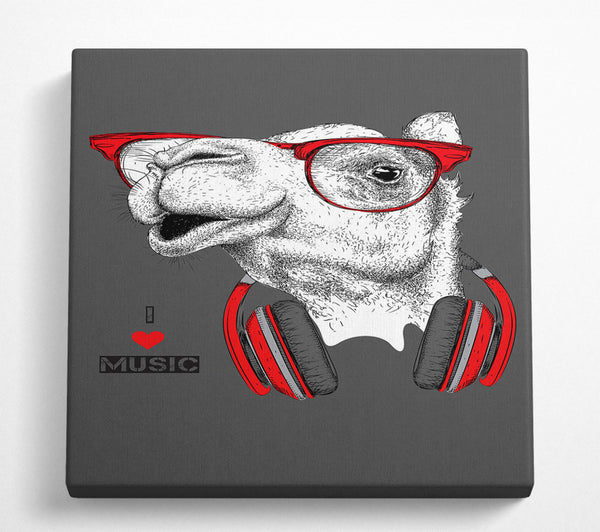 A Square Canvas Print Showing Camel I Love Music Square Wall Art