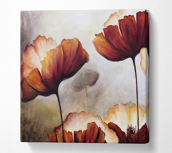 A Square Canvas Print Showing Chocolate Poppy Skies 2 Square Wall Art