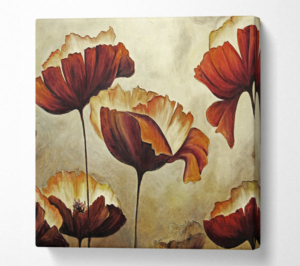 A Square Canvas Print Showing Chocolate Poppy Skies 1 Square Wall Art