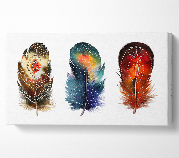 Indian Feathers