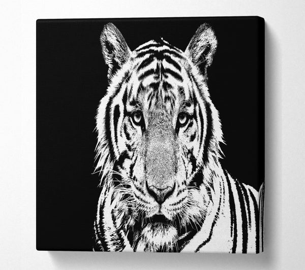 A Square Canvas Print Showing Stunning Tiger Face Square Wall Art