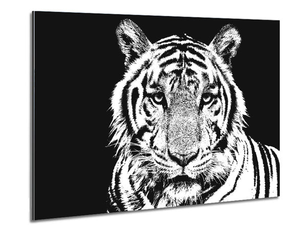 Atemberaubendes Tigergesicht