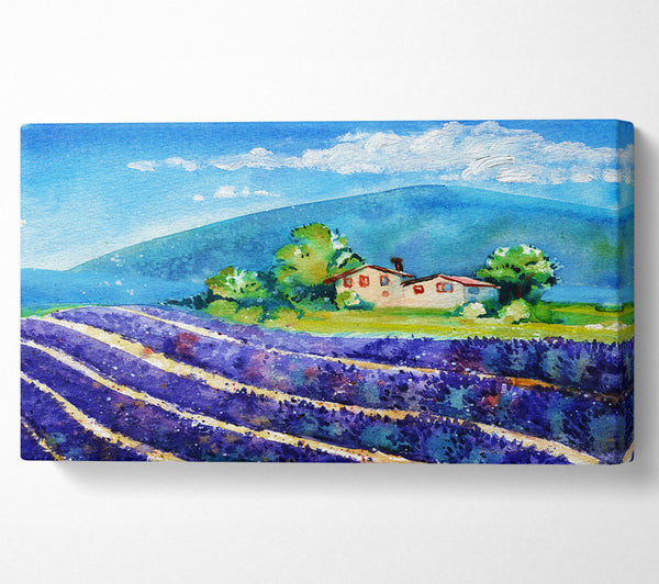 Lavender Fields In France