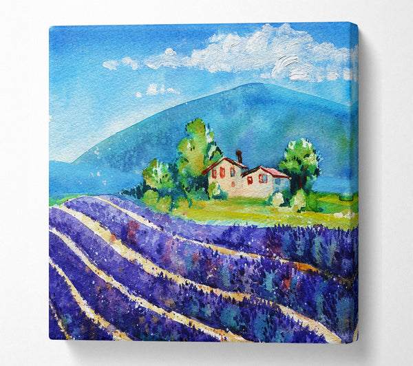 A Square Canvas Print Showing Lavender Fields In France Square Wall Art
