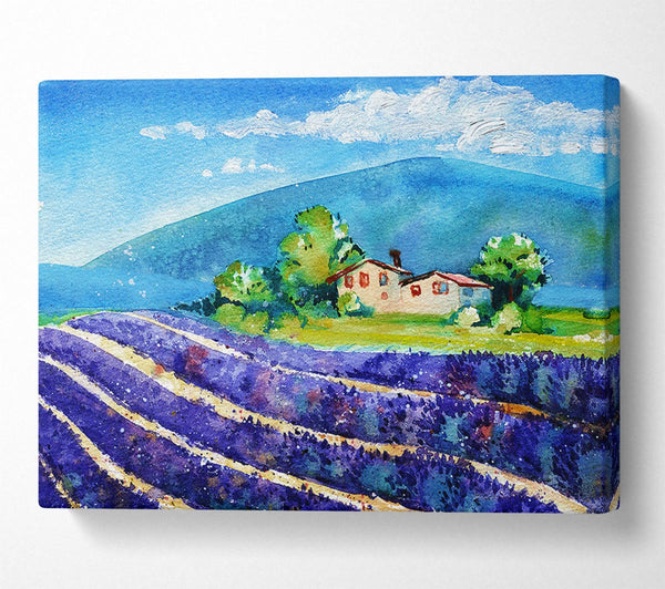  A Canvas Print of Lavender Fields In France Canvas Wall Art