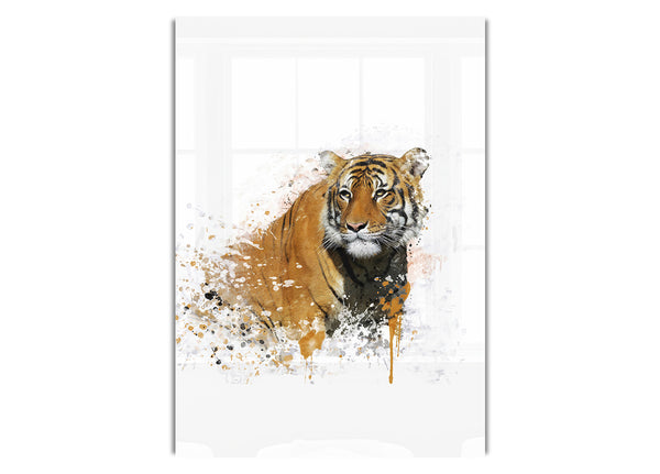 Tiger Splash