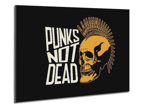 Punks Not Dead 1 Metal Print